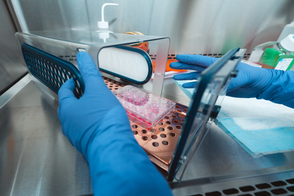 A look inside Stanford’s expanded Biosafety Level 3 (BSL3) lab