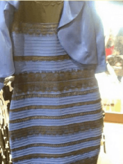 The_Dress_(viral_phenomenon) | The Dish
